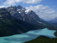 Peyto Lake mit Mount Patterson - Banff NP